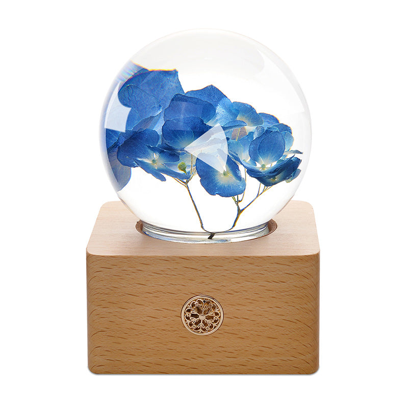 BLÅ HORTENSIA