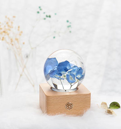 BLÅ HORTENSIA